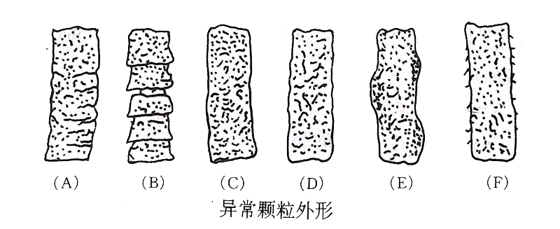 木屑顆粒機(jī)